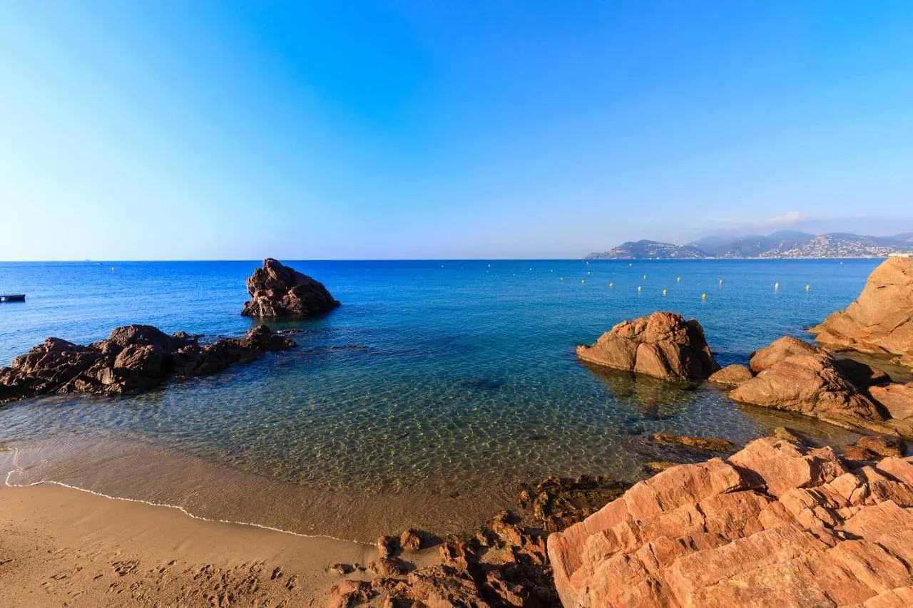 A 10 Min De La Croisette - Pieds Dans La Mer 戛纳 法国
